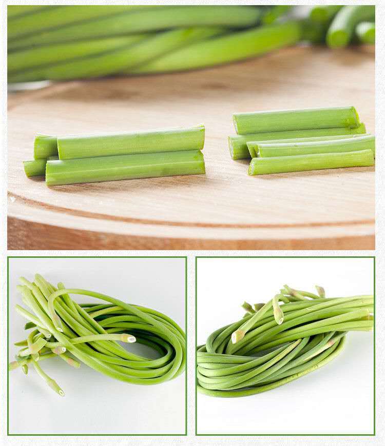 橙伯乐新鲜长蒜薹农家种现摘现发蒜苔自产自销蒜毫青蒜苔蔬菜3斤精装