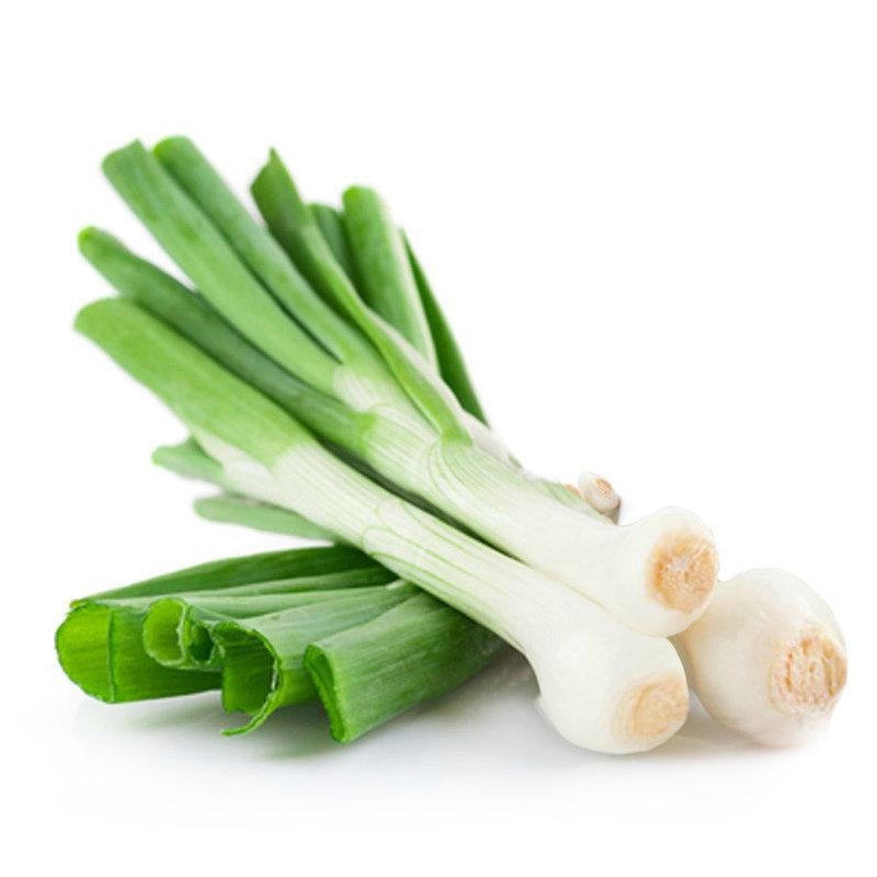 鸡腿大葱种子大头葱籽盆栽葱白粗大春秋四季高产盆栽农家蔬菜种孑鸡腿