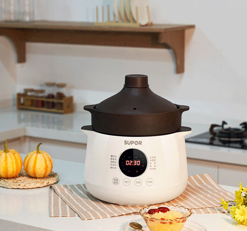 苏泊尔 supor电炖锅 煲汤煲粥锅 养生锅 多功能炖煮锅 5l 紫陶内胆 可
