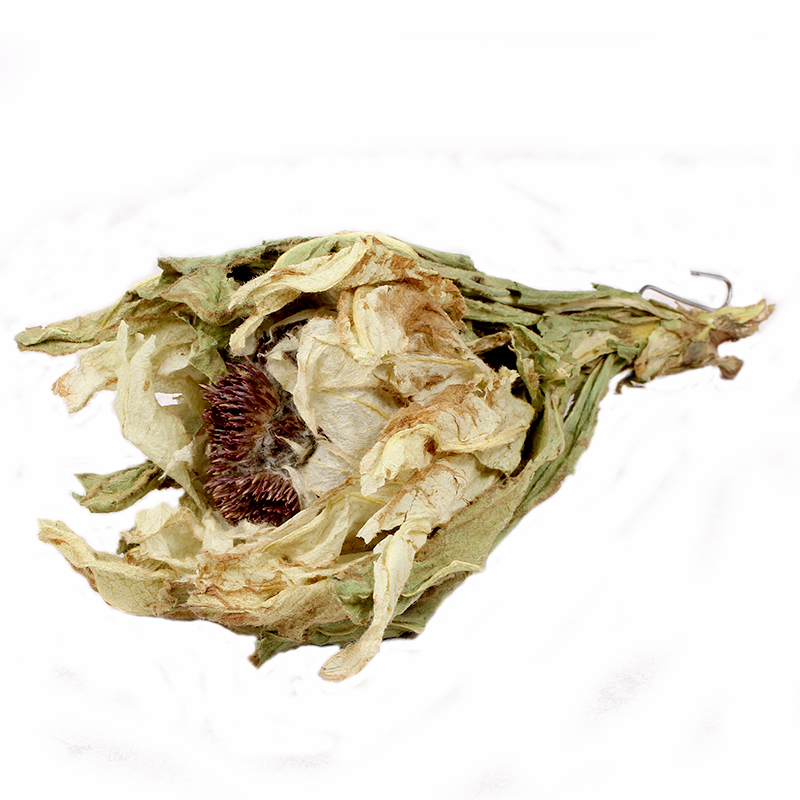 北京同仁堂新疆天山雪莲雪莲花干大雪莲王10年花龄中药材