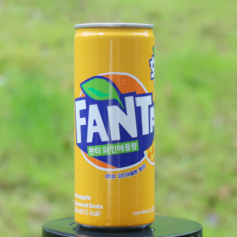 fanta芬达葡萄菠萝橙子味果味汽水韩国进口碳酸饮料250ml葡萄味10瓶