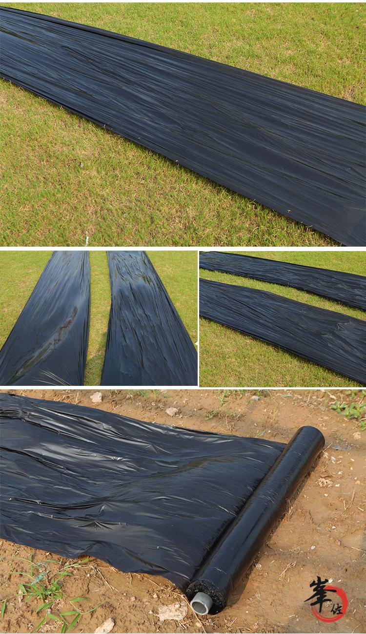 地膜农用防草地膜白地膜农用白膜保温保湿蔬菜大棚果园种植防草地布膜