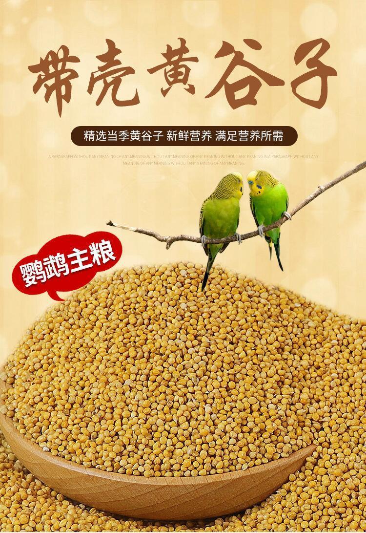 精品虎皮玄凤鹦鹉饲料鸟食谷子牡丹粮食文鸟食粮带壳小米黄雀鸟粮独立