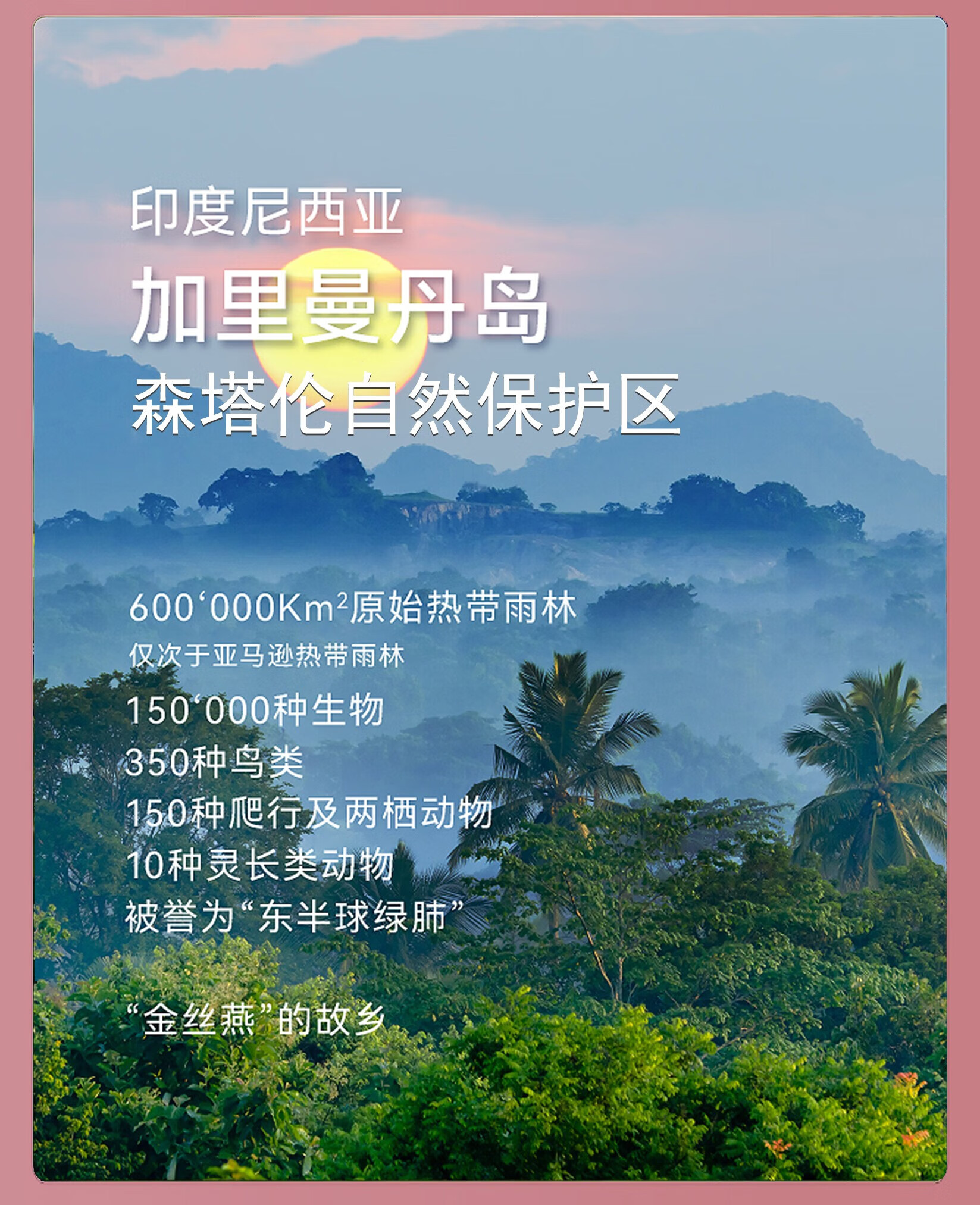 b6ec3949b221a26a.jpg