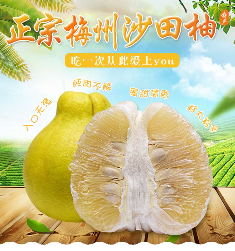 顺丰直达广东正宗梅州沙田柚子新鲜水果梅县金柚纯甜柚子产地直发新鲜