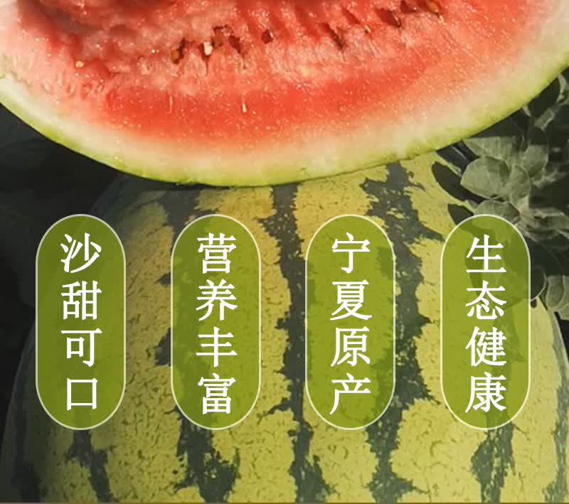 静羽 宁夏中卫富硒硒砂瓜 原产地核心产区硒砂西瓜现摘现发新鲜头茬应