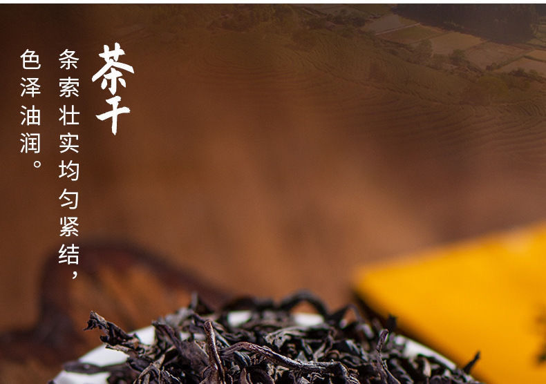 燕子窠肉桂 礼盒装 果香肉桂 中火茶叶 送礼乌龙茶批发 燕子窠肉桂16.