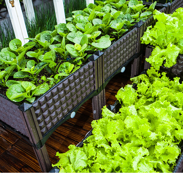 室内种植蔬菜容器家庭阳台种菜箱长方形加厚塑料种植槽楼顶花盆种菜