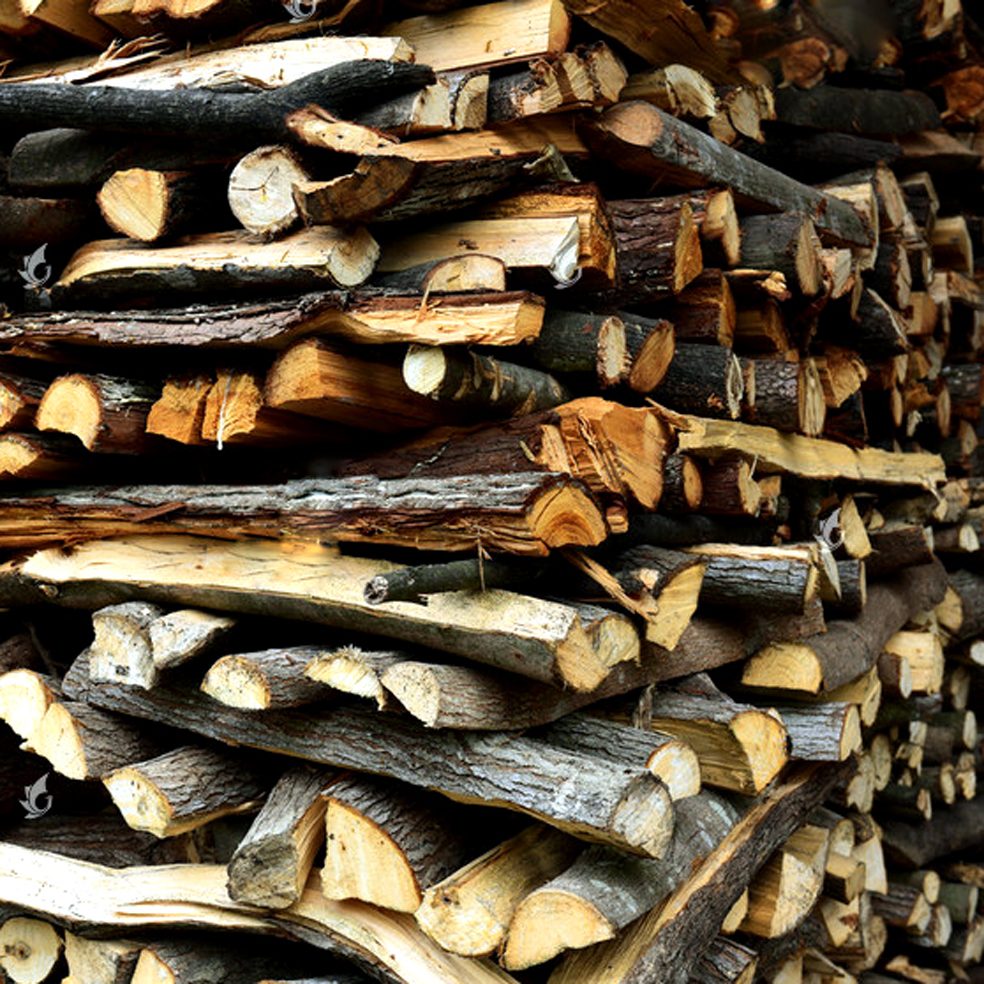 冬季烤火取暖野炊露营木材干柴壁炉木柴原木篝火木头烧火木材枣木苹果