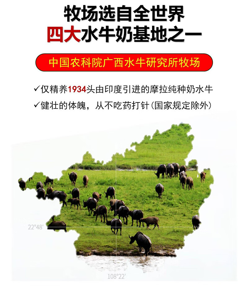广西壮牛水牛奶 125ml*10瓶 纯牛奶整箱 儿童新鲜盒装 10瓶