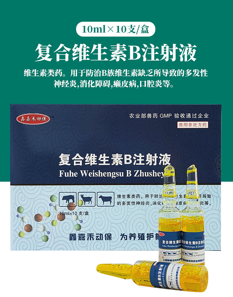 兽药兽用复合维生素b注射液兽用针剂猪牛羊健胃开胃消食通便针嘉禾10