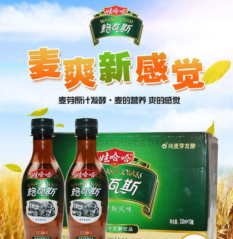 哈格瓦斯碳酸饮料 麦芽汁俄罗斯风味麦芽发酵 格瓦斯330ml*15瓶【图片
