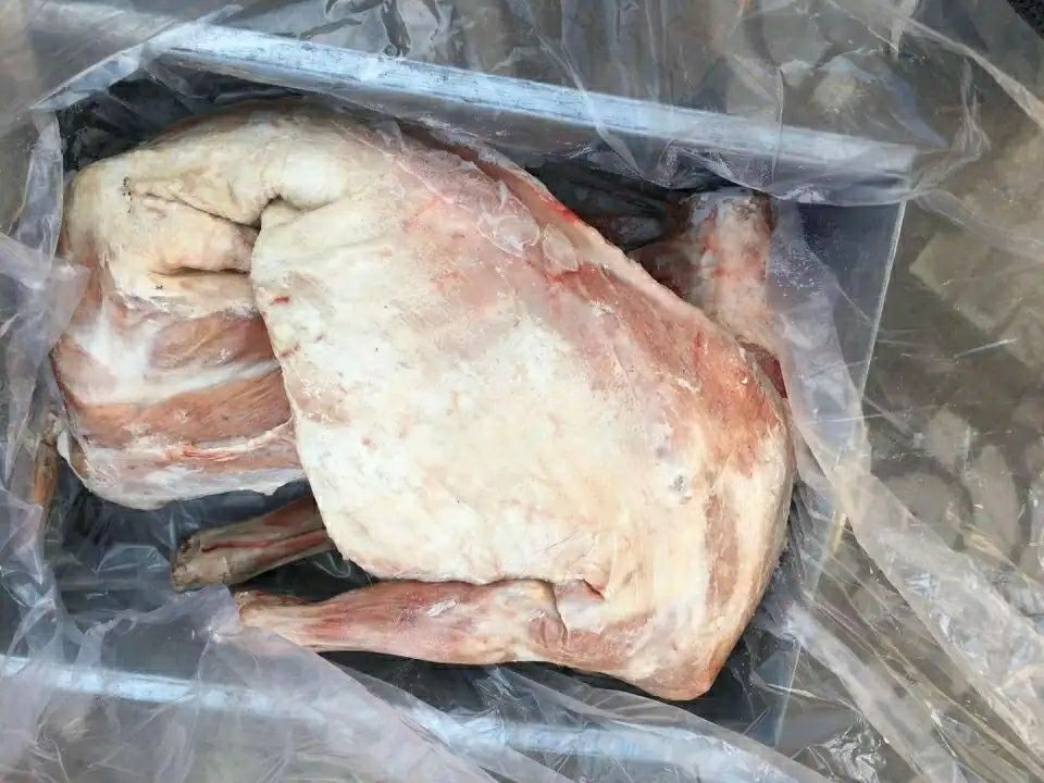 烤全羊羔羊全羊鲜冻白条羊 整羊26斤烤全羊专用【图片 价格 品牌 报价