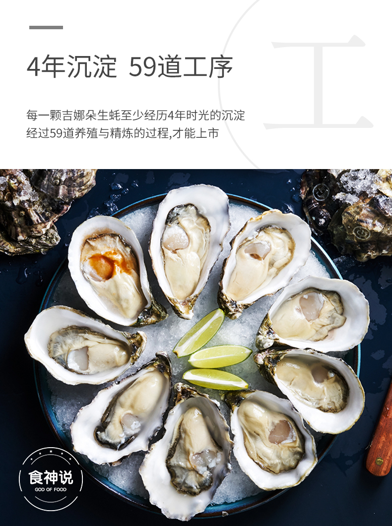 法国吉娜朵生蚝n0/n1/n2号原装进口12只/箱鲜活即食刺身吉拉多 xxxl