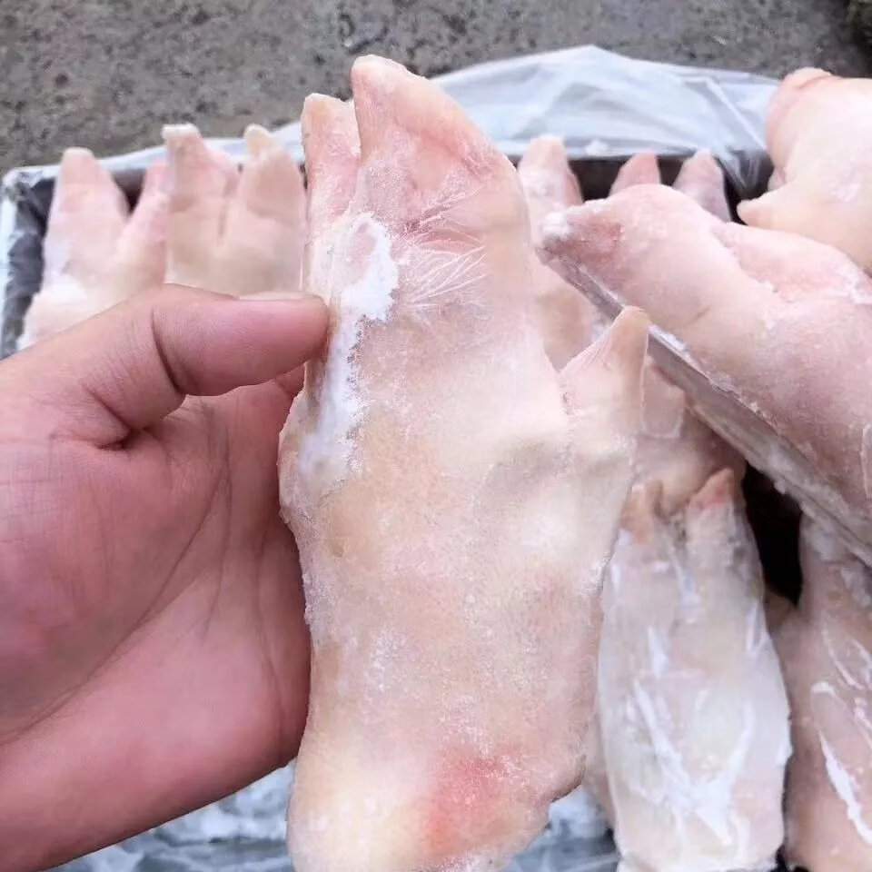 冷冻新鲜带筋小香猪爪前猪蹄生猪手烧烤净重 猪蹄20斤/箱约33个 山东