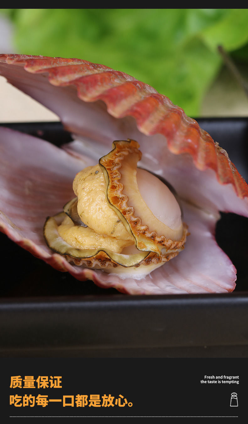 扇贝鲜活带壳超大半壳夏威夷贝虾夷贝特大扇贝新鲜蒜蓉粉丝扇贝肉四斤