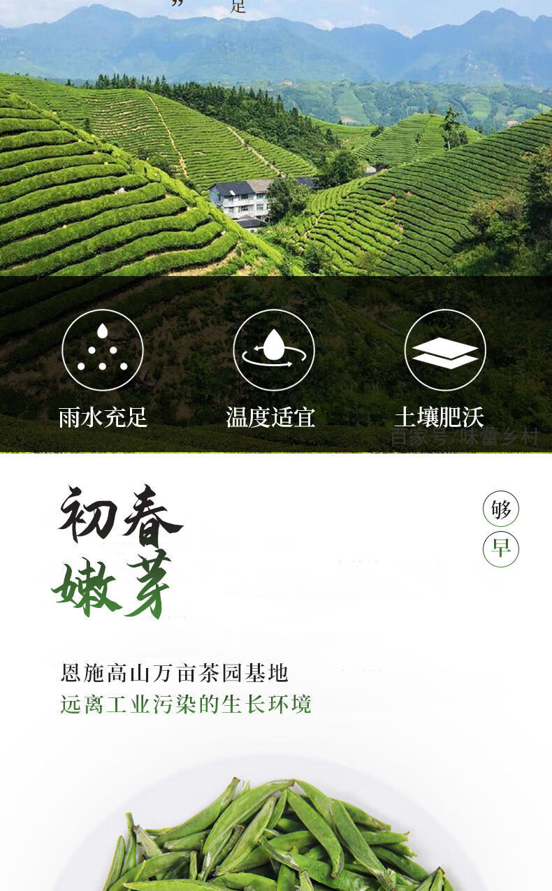 2022年新茶恩施富硒贡芽雀舌新茶上市250g 茗老汉 2022新茶袋装(250g)