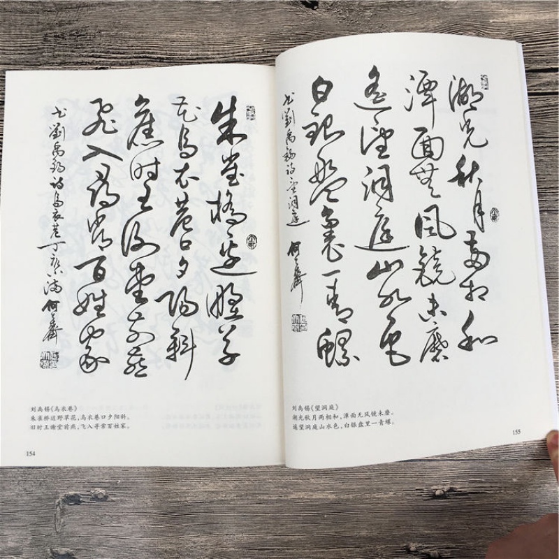 怎樣寫草書行書隸書楷書何大齊毛筆字帖成人學生練字貼唐詩千字文