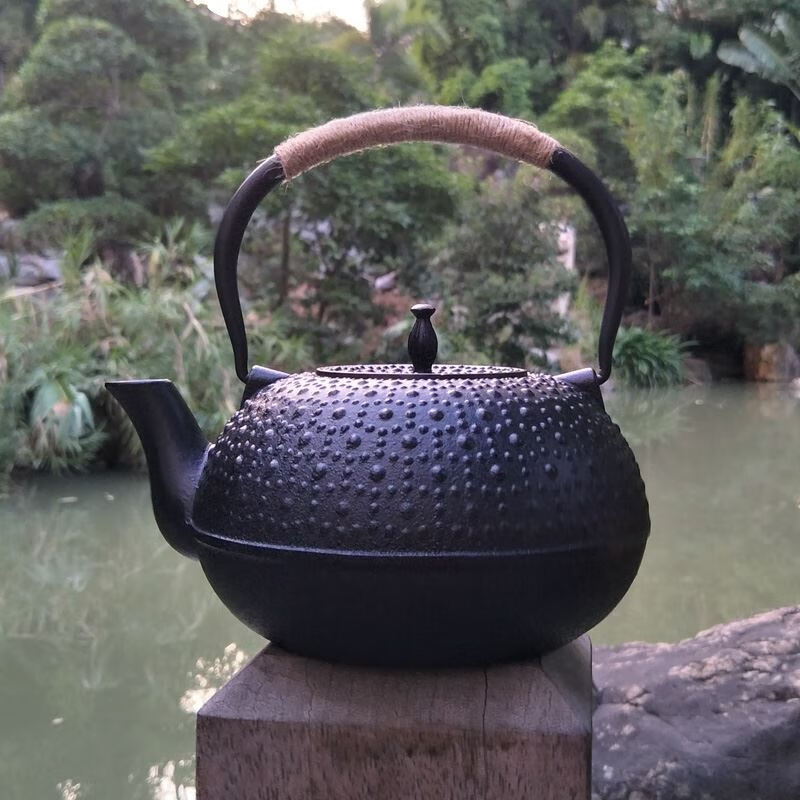 日本原装进口铁壶煮茶器 铁壶原装砂铁壶家用大容量烧水壶泡茶壶煮茶