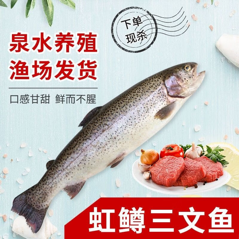 新鲜虹鳟鱼淡水三文鱼泉水养殖不腥刺身新鲜水产不腥整条45斤整条顺丰