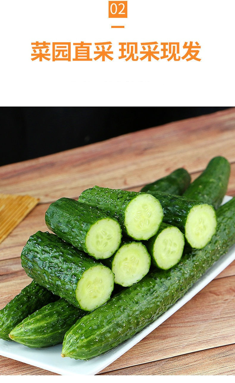 黄瓜蔬菜正宗高山新鲜刺黄瓜绿瓤生吃清脆可口农家现摘3斤装