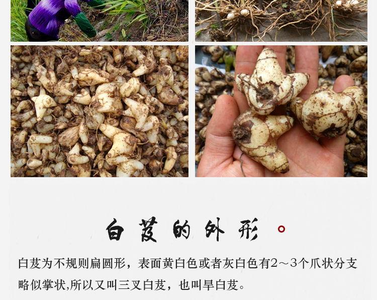 北京同仁堂中药材白芨野外种植白芨片特级白芨粉面膜粉