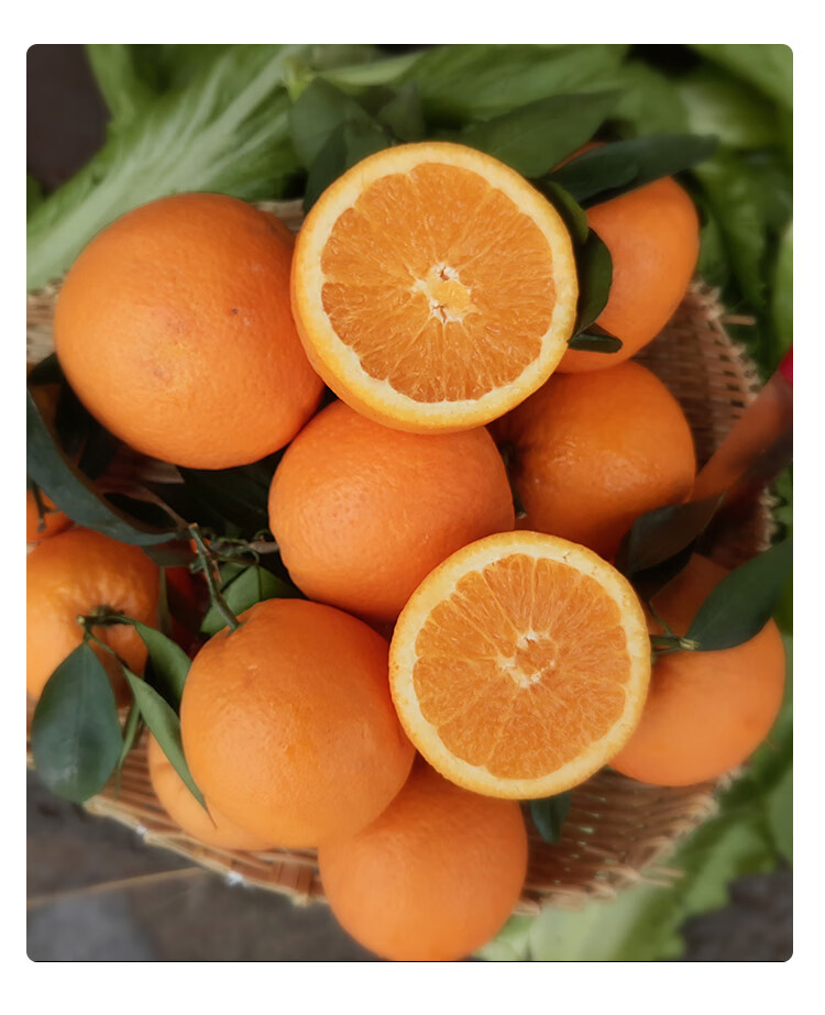 贝娇芬 奉节脐橙时令水果孕妇橙子新鲜10斤超甜不酸巫山纽荷尔脐橙 70
