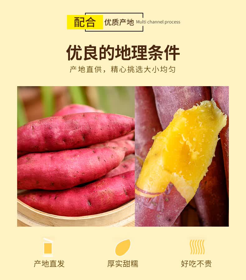 春耕牛红薯临安天目山小香薯心香甘薯正宗农家自种小番薯地瓜板栗薯