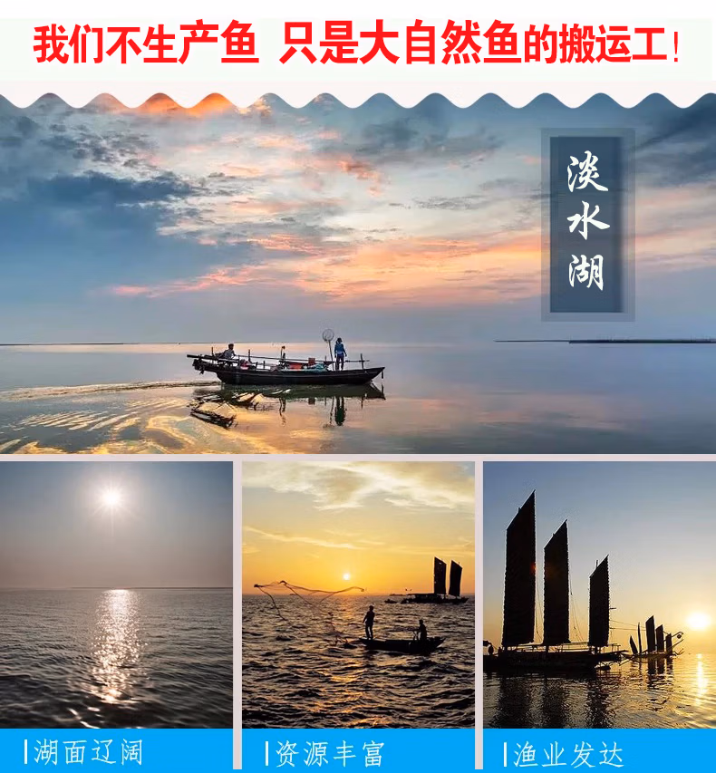 f0bc34df8004adf9.jpg.avif