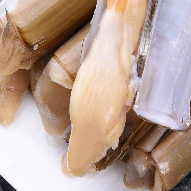 【顺丰现货】鲜活小竹蛏 竹节蛏 手指蛏 竹蛏 大蛏子 海鲜水产 3斤