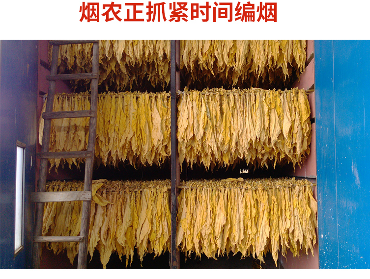 烤房宝烤烟房专用熏蒸剂促进烤烟加速转黄易烘烤提前转黄翻色好定制 1