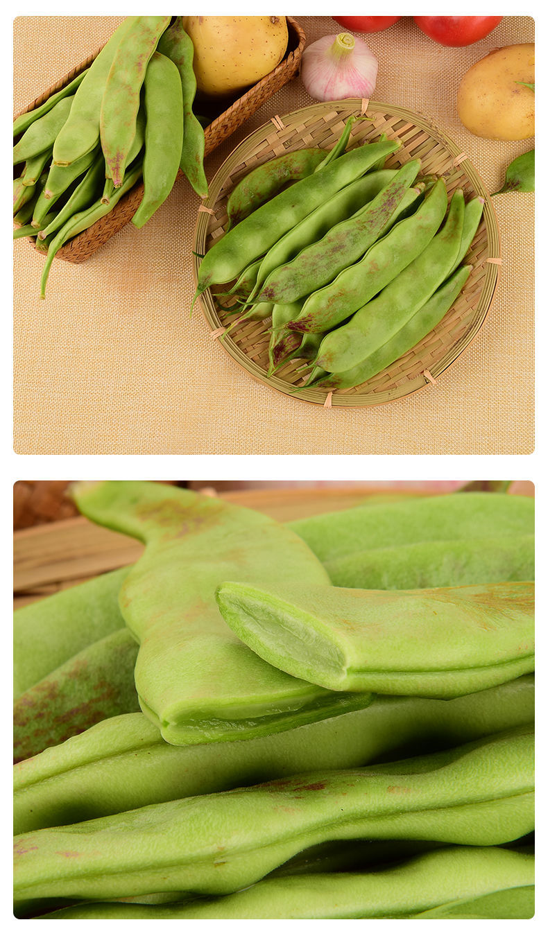 (顺丰速发)东北油 豆角一点红新鲜九月青马掌盖世面豆角开锅烂 马掌