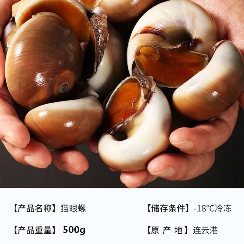 猫眼螺大号4斤鲜活海鲜香螺沙螺玉螺大香螺翡翠螺冷链