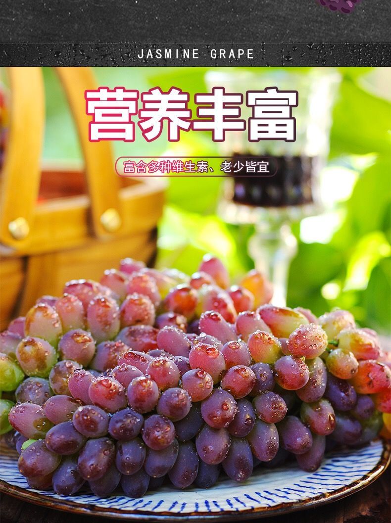 茉莉香郁金香葡萄新鲜无籽孕妇水果茉莉香葡萄4斤分享装