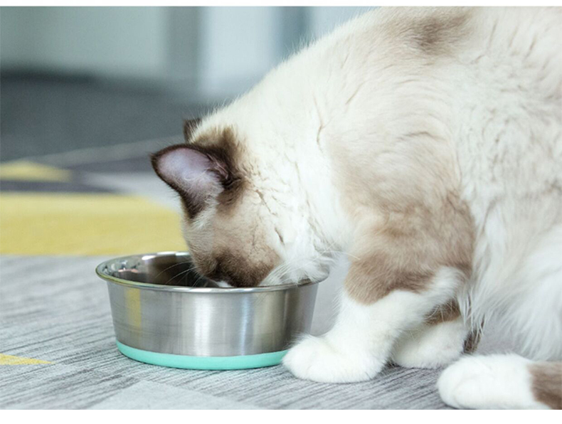 飞嘟乐狗食盆中大型犬防滑不锈钢狗碗饭盆狗狗猫用品大号狗盆防滑碗玫