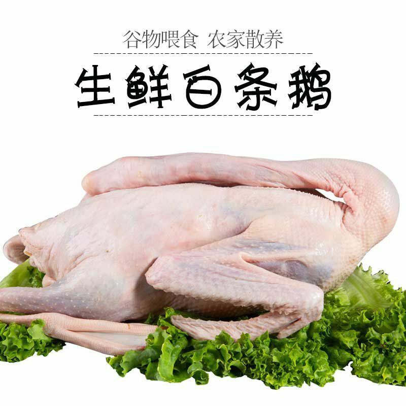 农家散养新鲜大鹅鹅肉笨鹅整只老鹅鹅肝鹅肫鹅掌红烧炖鹅块现杀鹅二三