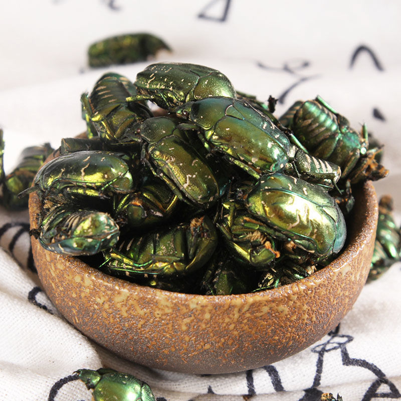 金龟子 中药材金龟子 蛴螬的幼虫 昆虫类中药材 100克【图片 价格