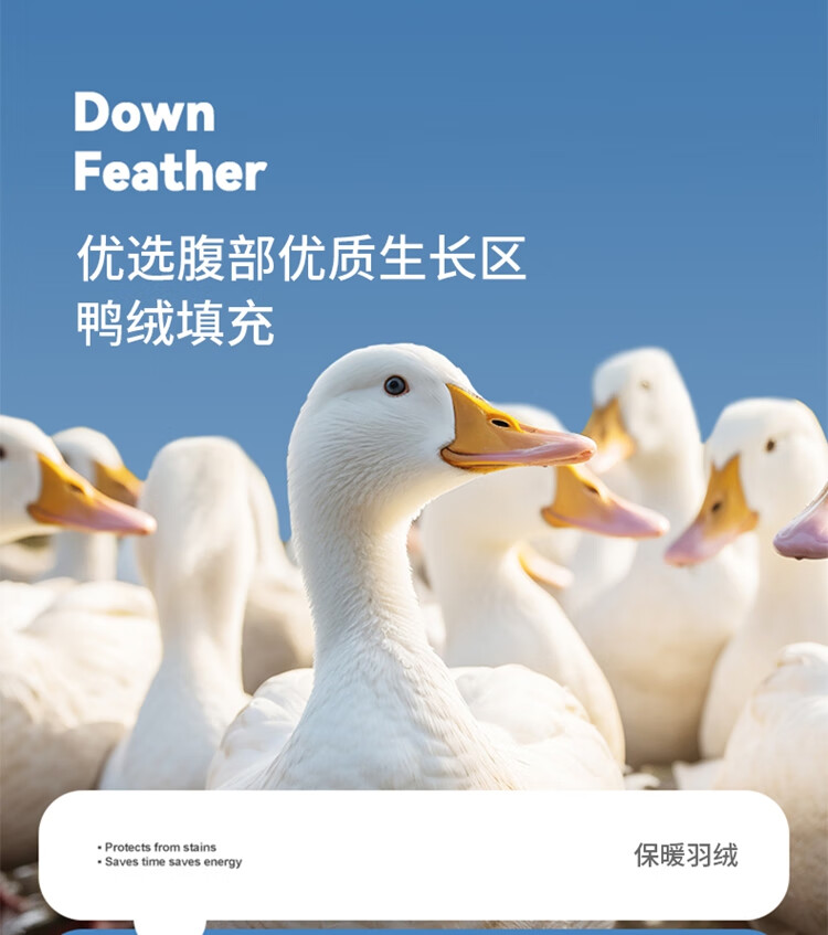 4f60d305c91549dd.jpg