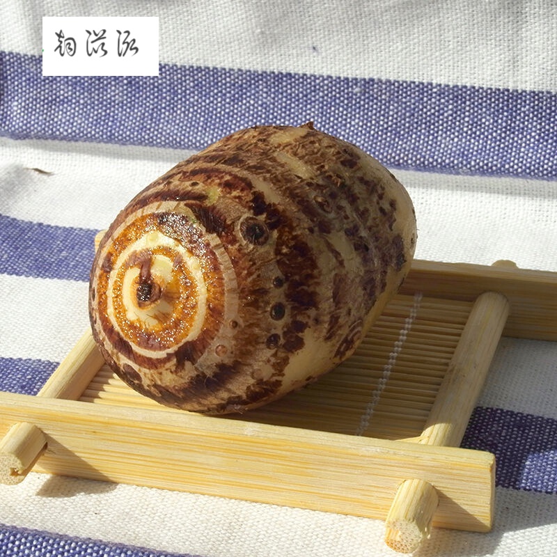 兴化垛田龙香芋现挖大芋头新鲜软糯香芋艿农家自种舌尖上的中国 龙