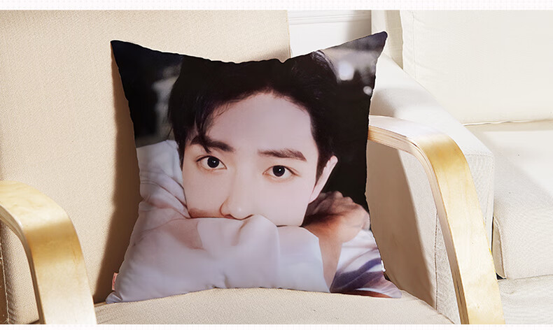肖战周边抱枕抱枕余生请多指教周边双面diy定制人形睡觉被子两用女靠