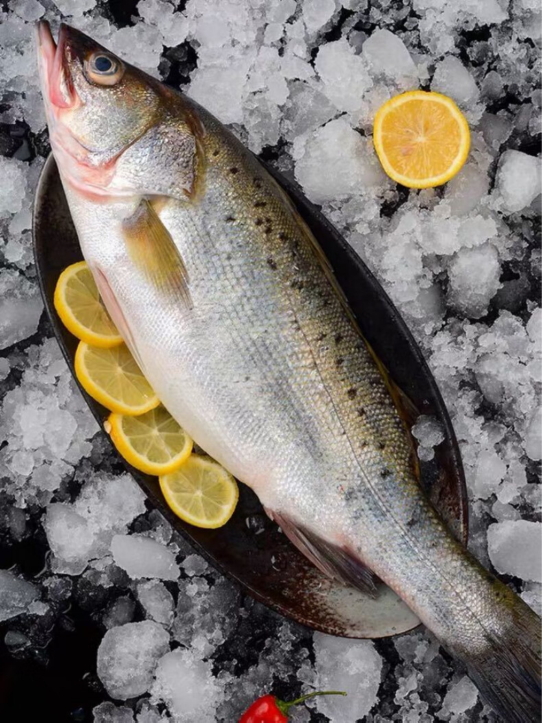 碧浔泽畔旗舰店 大海鲈鱼 七星海鲈鱼 生鲜海鲜水产 【海鲈鱼】4斤/只