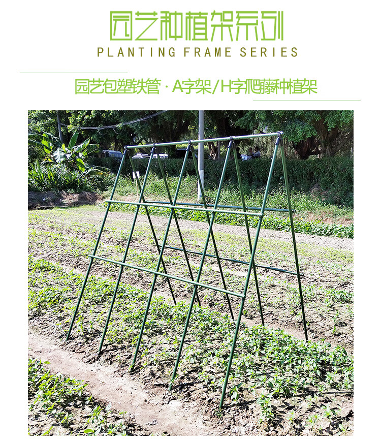 瓜棚支架 蔬菜种植架菜园种菜支架黄瓜豆角苦瓜丝瓜爬藤架大棚葡萄