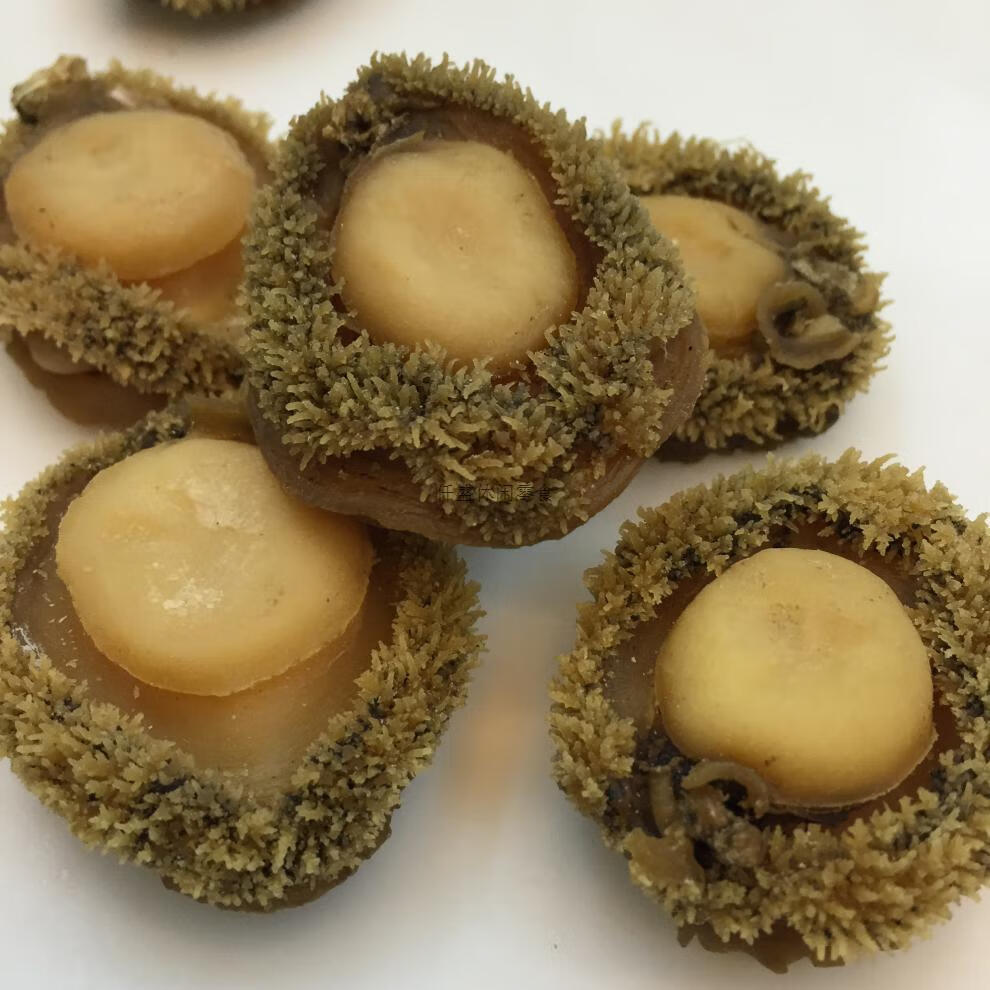 南非鲍鱼天然南非鲍鱼干约2025头一斤鲍鱼干货500克