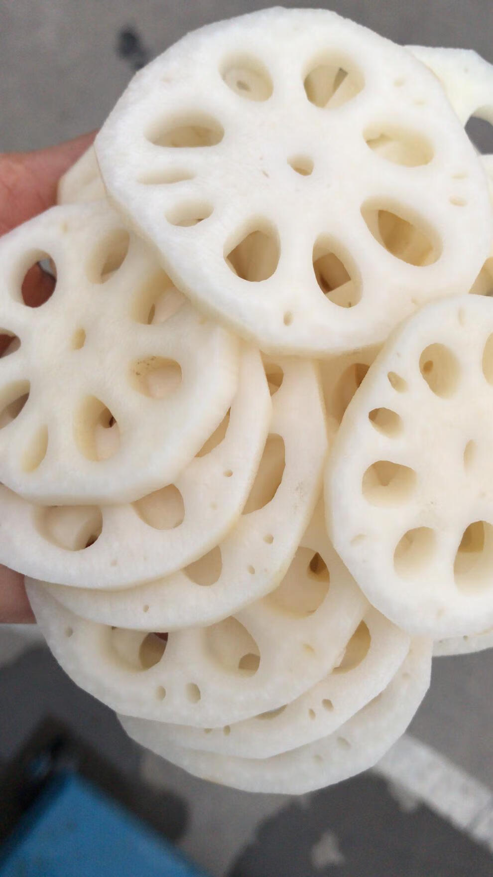 清水藕片10斤装5斤装凉拌菜火锅麻辣烫冒菜食材 2500g【图片 价格