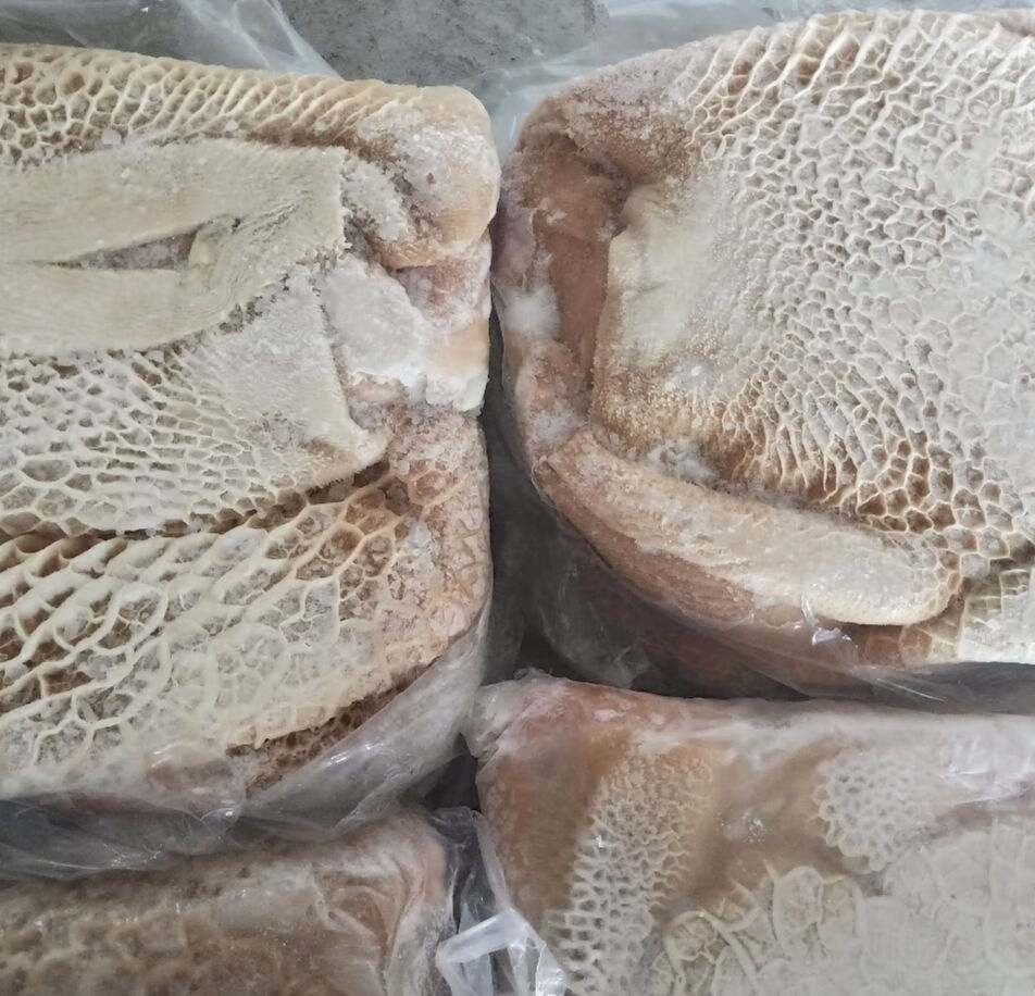 新鲜冷冻 牛肚 牛蜂窝肚 牛金钱肚 不水发无任何添加调理顺丰 2斤真空