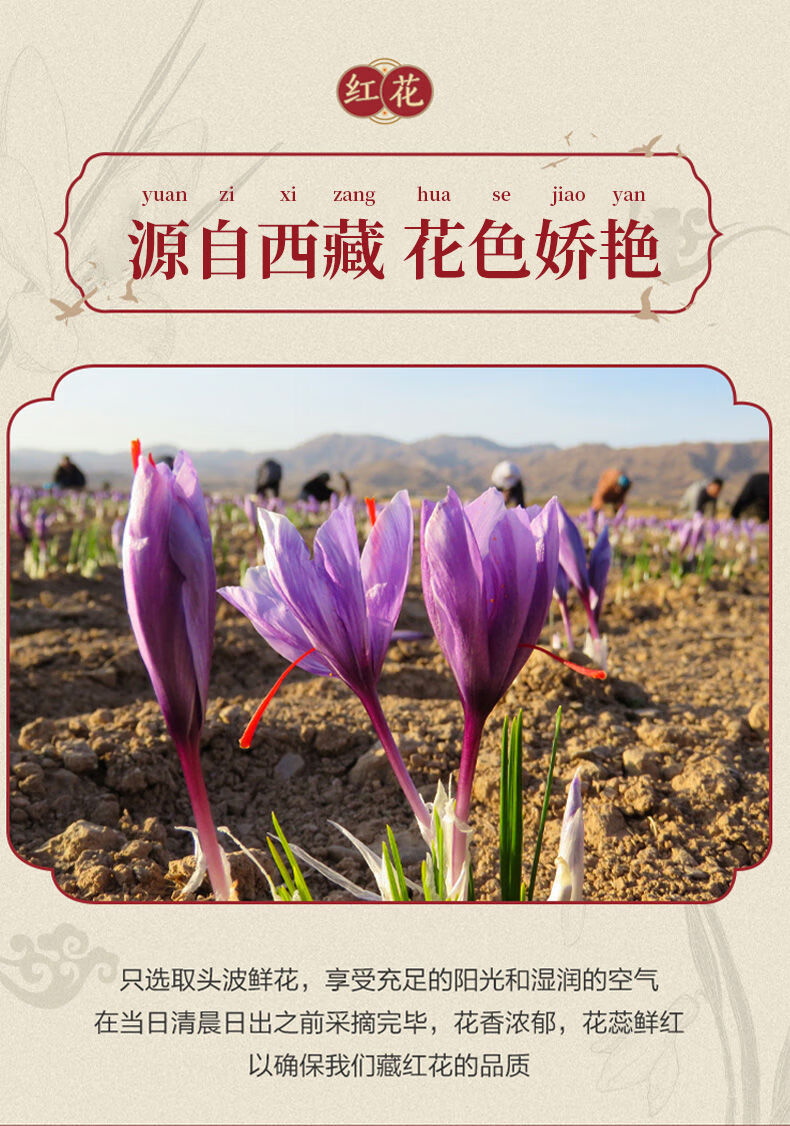 藏红花正宗西藏特级野生臧红花泡水喝泡茶化瘀中药红花礼盒装高品质5g