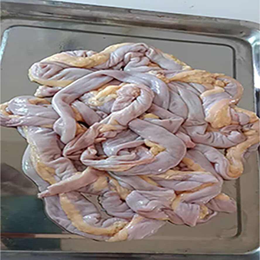 鸵鸟鸵鸟肉套装新鲜现杀速度生鲜费雅南奇排胗肝尾翅个一斤