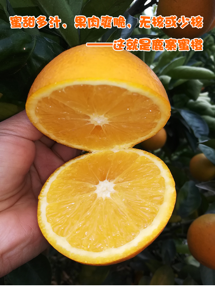 柳州特产十大特产水果图片