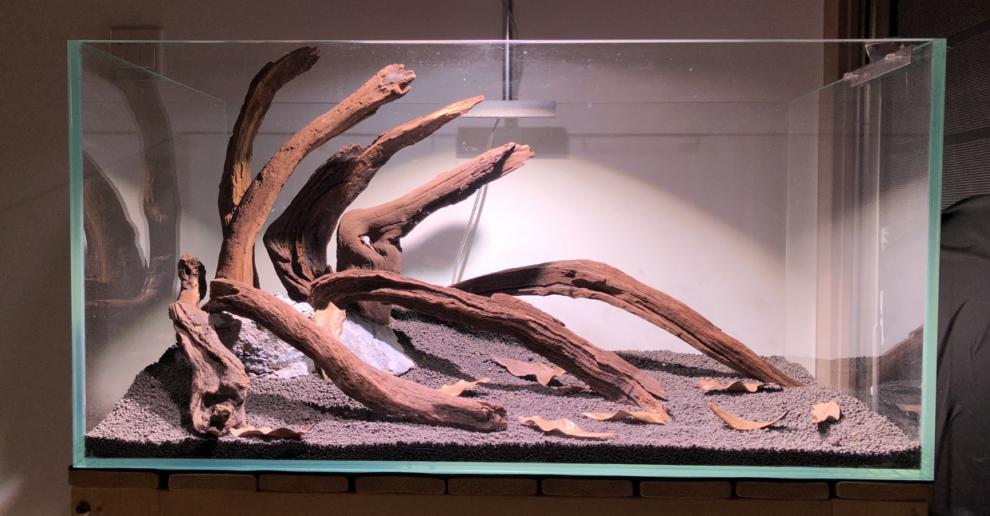 沉木紫柚木造景长条形状水草水陆缸南美雨林缸骨架素材紫红色a248