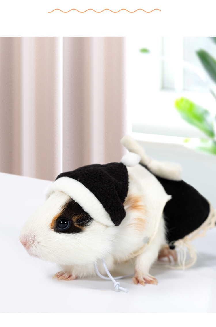 仓鼠专用小衣服可爱仓鼠衣服迷你小号夏天帽子金丝熊鼠的专用品外出包